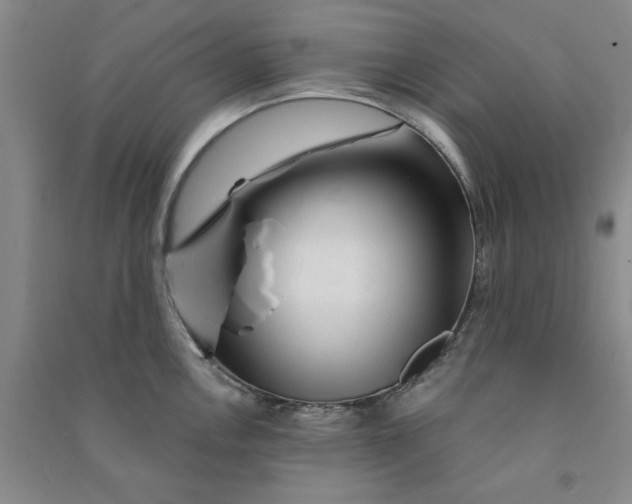 X0000090871146200708171620