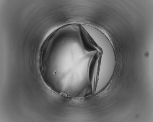 X0000090871147200708171620