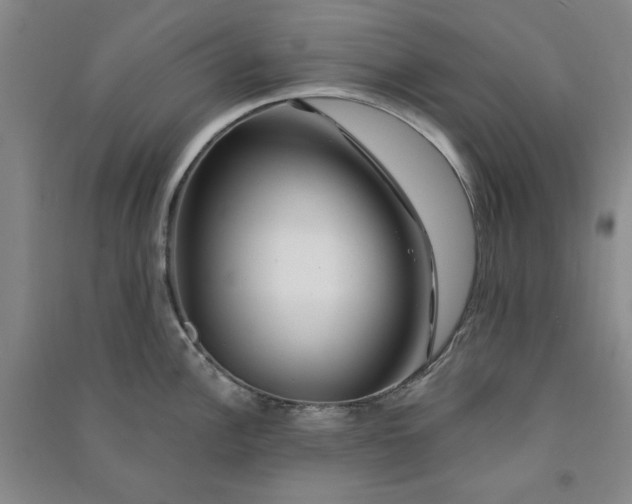 X0000090871148200708171620