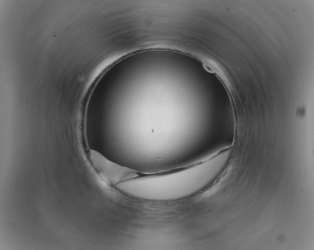 X0000090871149200708171620