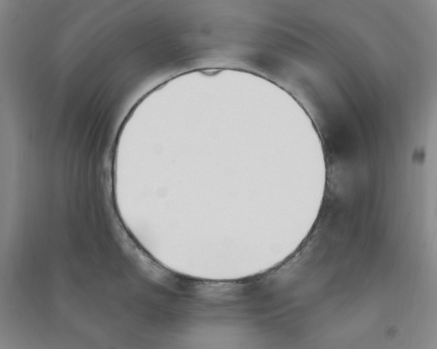 X0000090871150200708171620