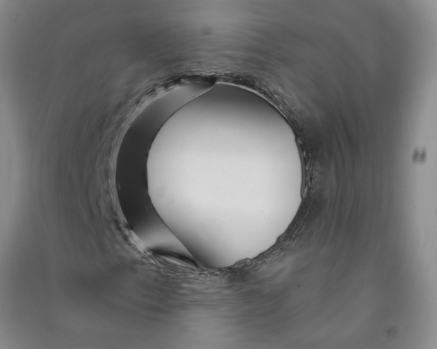 X0000090871153200708171619