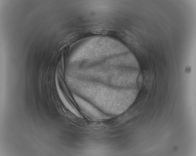 X0000090871154200708171619