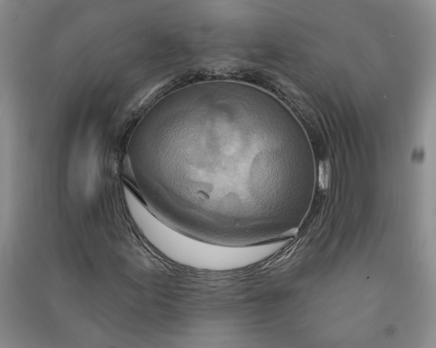 X0000090871155200708171619