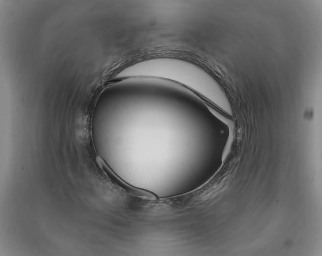 X0000090871156200708171619