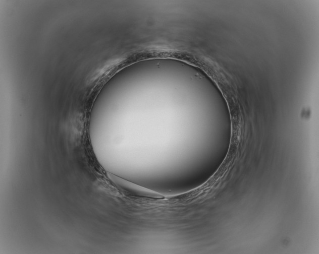 X0000090871157200708171619