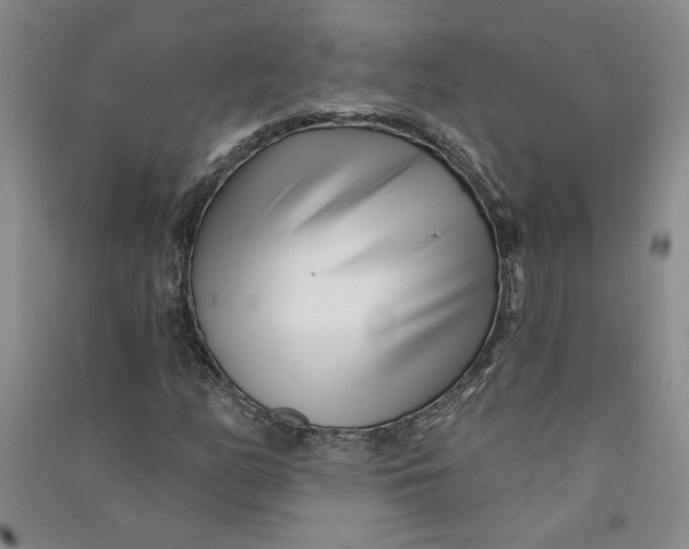 X0000090871158200708171619