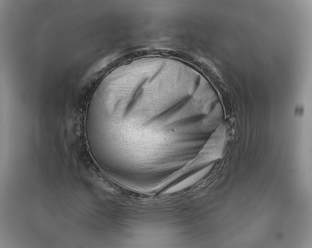 X0000090871159200708171619