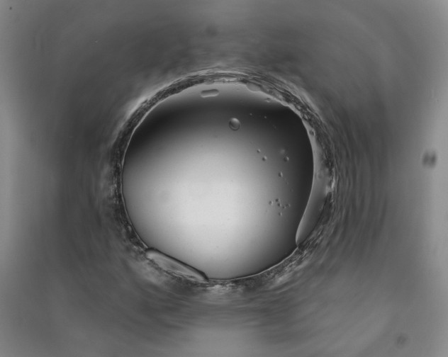 X0000090871160200708171619