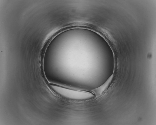 X0000090871164200708171619