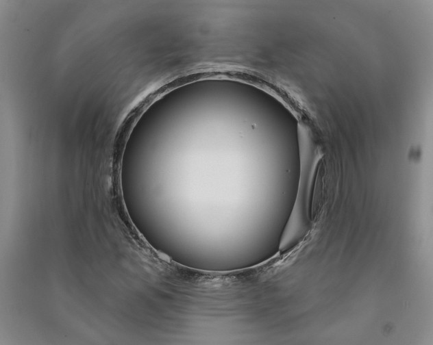 X0000090871165200708171619