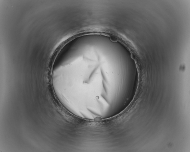 X0000090871166200708171619