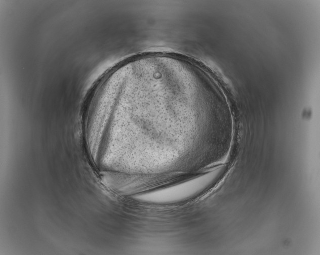 X0000090871167200708171619