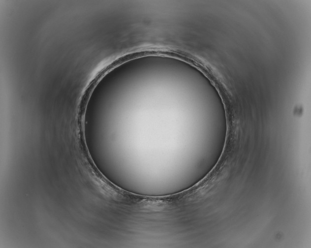 X0000090871168200708171619