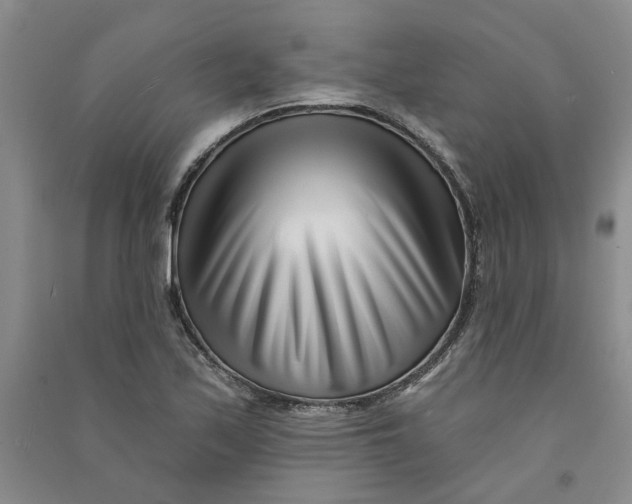 X0000090871171200708171619