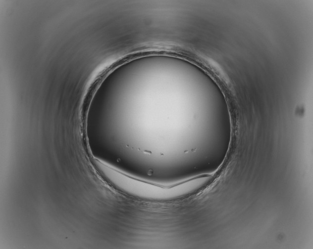 X0000090871172200708171619