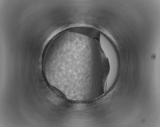 X0000090871173200708171619