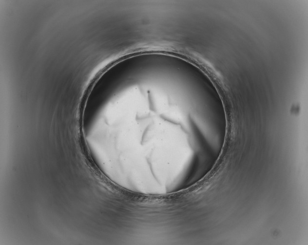 X0000090871174200708171619