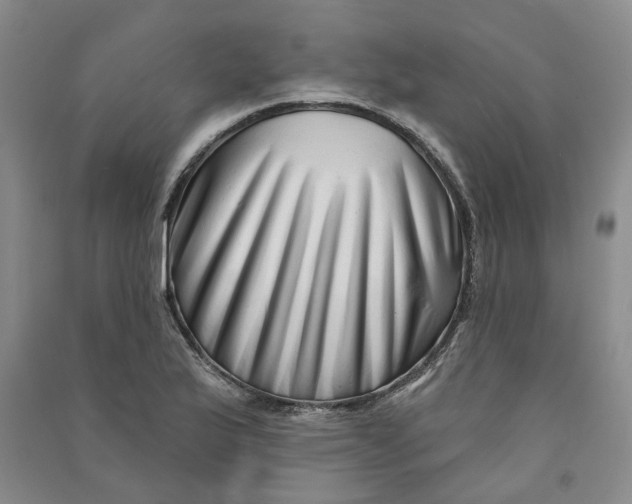 X0000090871175200708171619