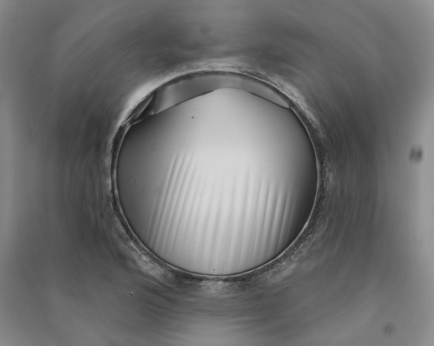 X0000090871176200708171619