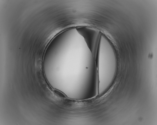 X0000090871177200708171619