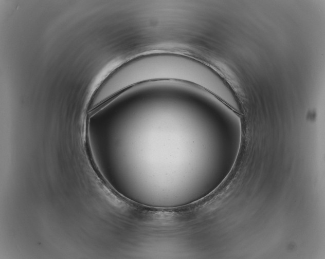 X0000090871180200708171619