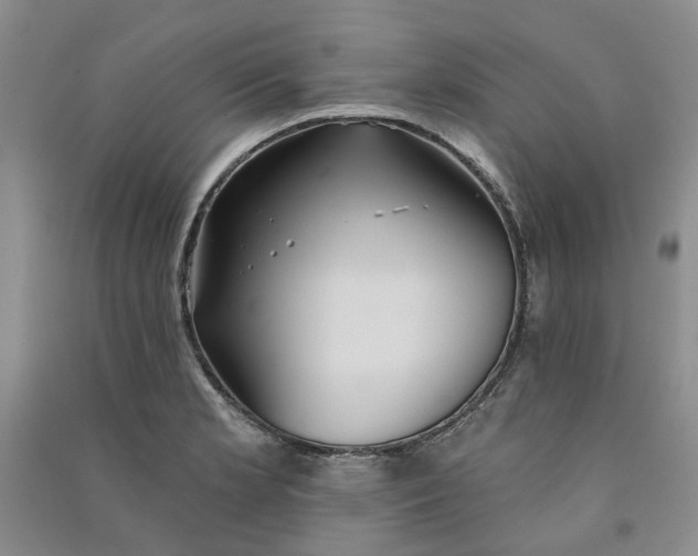 X0000090871181200708171619