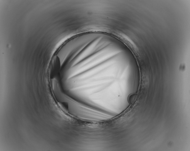 X0000090871182200708171619