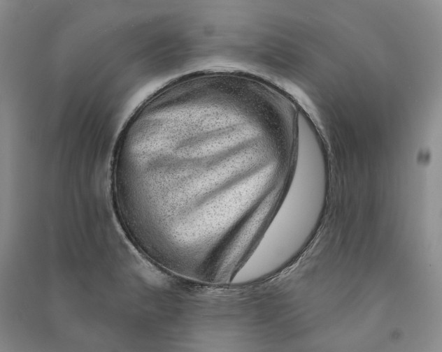 X0000090871183200708171619