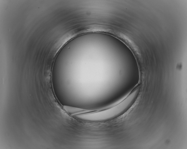 X0000090871185200708171619