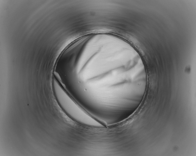 X0000090871186200708171619