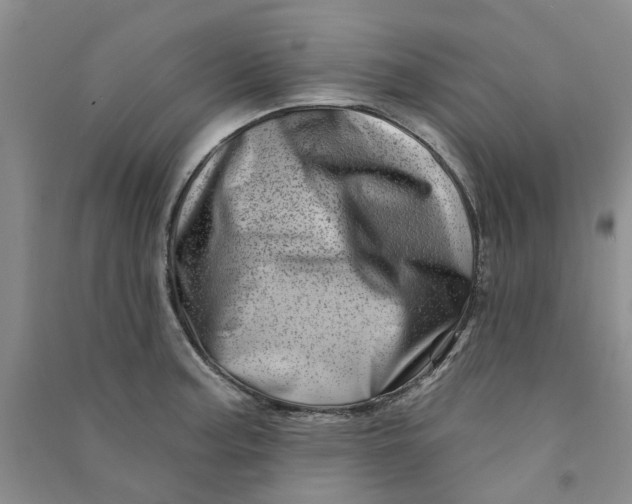 X0000090871187200708171619