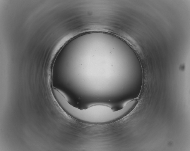 X0000090871188200708171619