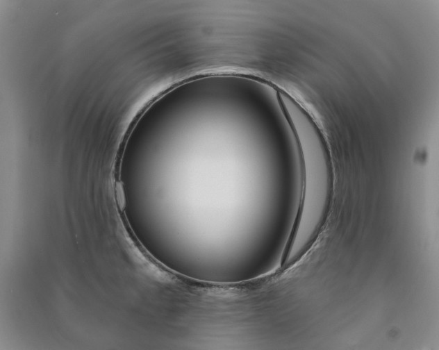 X0000090871189200708171619