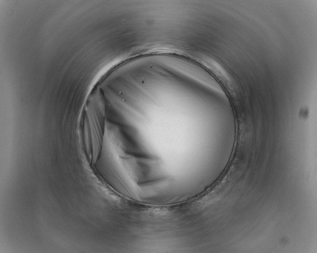 X0000090871190200708171619