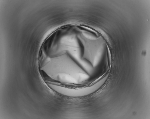 X0000090871191200708171619