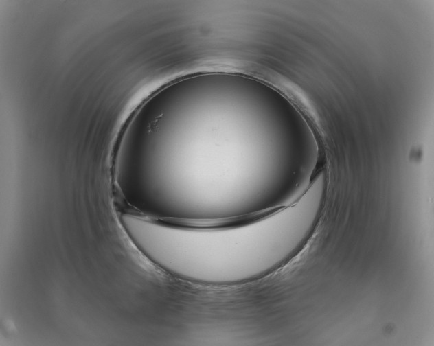 X0000090871192200708171619