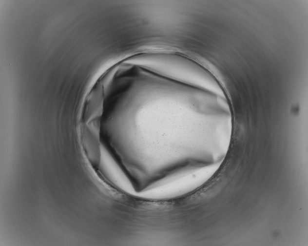 X0000090871195200708171619