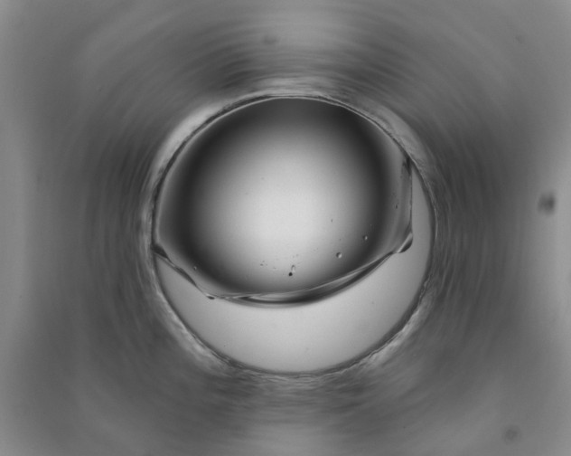 X0000090871196200708171619