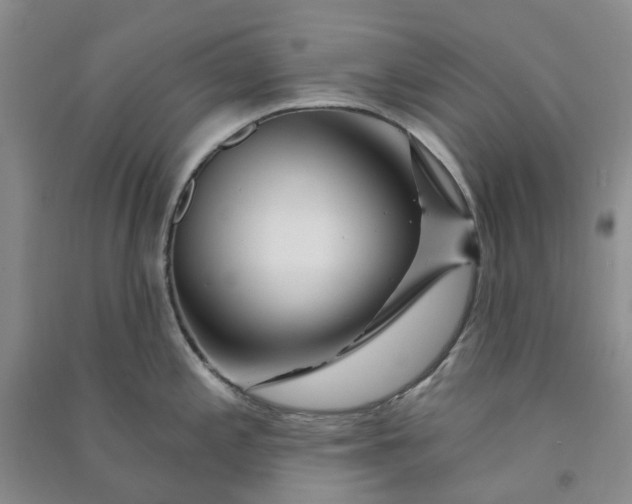 X0000090871197200708171619