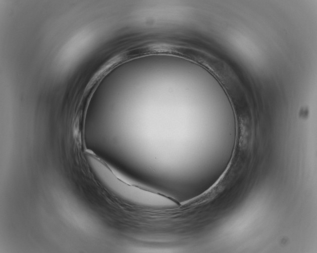 X0000090871198200708171619