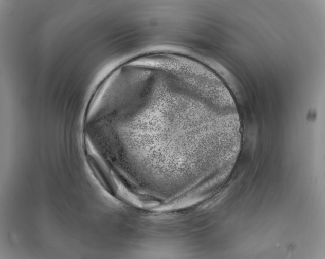 X0000090871199200708171619