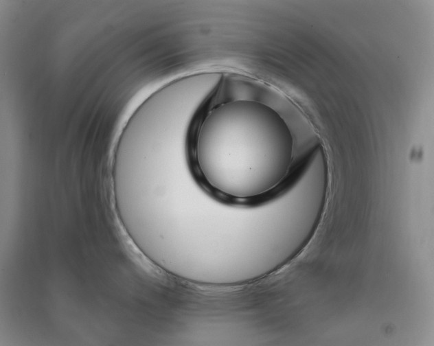 X0000090871200200708171619