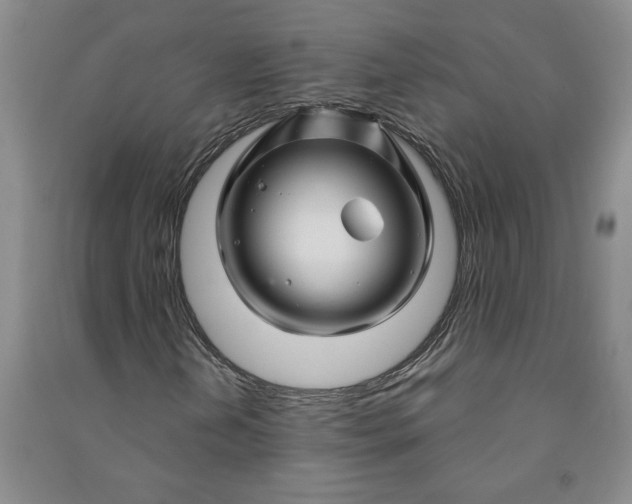 X0000090871202200708171618