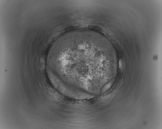 X0000090871203200708171618