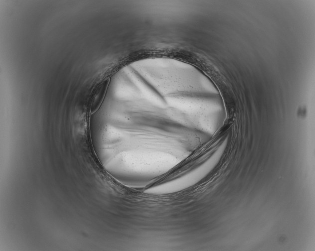 X0000090871204200708171618