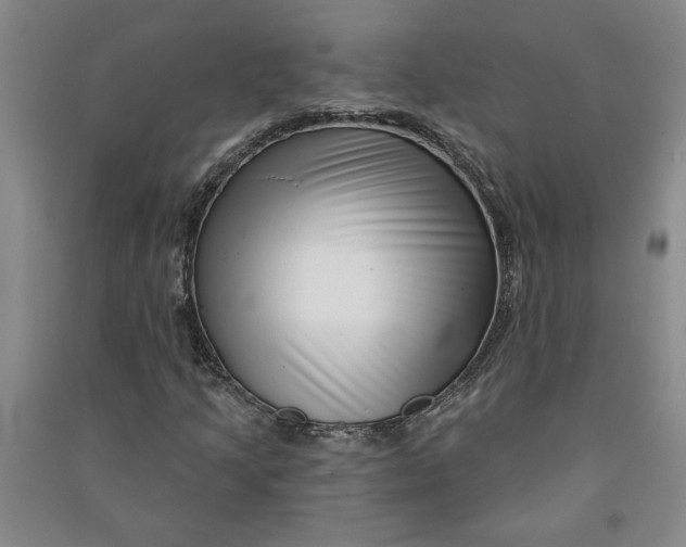 X0000090871205200708171618