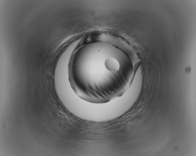 X0000090871206200708171618