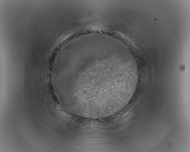 X0000090871207200708171618