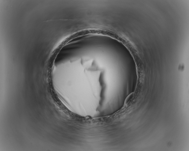 X0000090871208200708171618